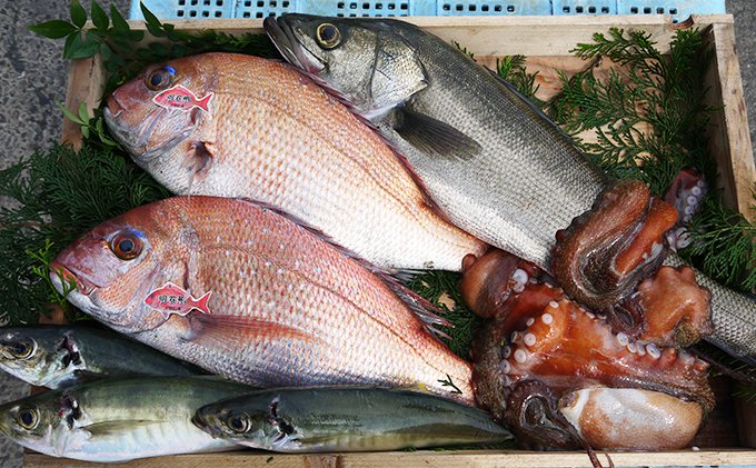 とれたて鮮魚BOX